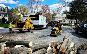 Best Stump Grinding and Removal  in Concord, NH